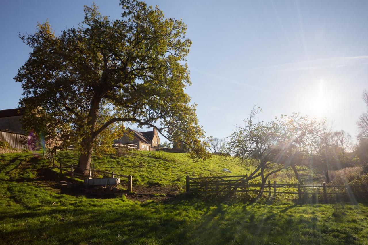 Parnham Cottage Bridport Zewnętrze zdjęcie